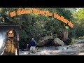 Tour El Eden In Puerto Vallarta Where The Predator Movie Was Made