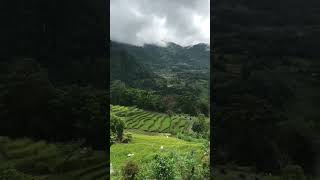 Download lagu Pesona keindahan alam pesawahan Cianjur selatan. Desa Balegede-Kecamatan Naringgul mp3 Download lagu Pesona keindahan alam pesawahan Cianjur selatan. Desa Balegede-Kecamatan Naringgul mp3