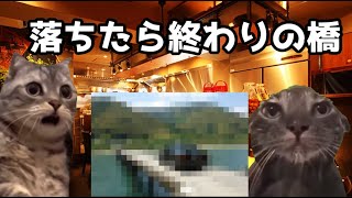 【猫ミーム】危ない橋を渡る！？一番大変な地方の葬儀社！？葬儀社にアルバイトとして勤めていたお話その73