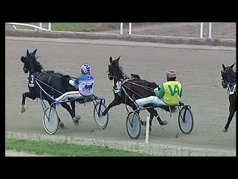 Trotto 29/01/2021 - 4ª corsa