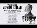 Cedry2k - Strigăt (de Constantin Oprișan)