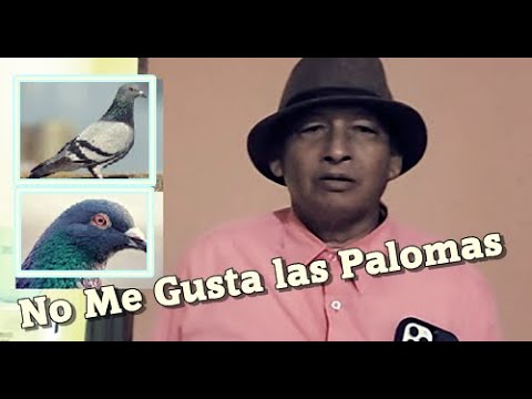 El Apostol No Aguanto las Preguntas en vivo // Preguntas y Repuestas Apóstol Santiago Zuniga