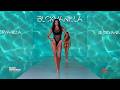 BLACK VANILLA Collection Runway Show Miami Swim Week 2026 At Mondrian South Beach FashionStockTV
