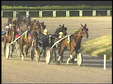 Trotto 22/02/2015 - 8° corsa