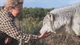 Earthlings - Now We Are Free (Gladiator Theme)