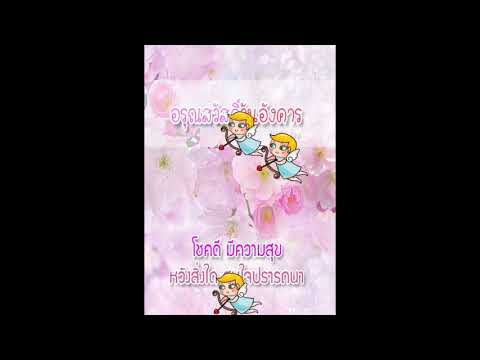 สวัสดีตอนเช้าใหม่ล่าสุด Video
