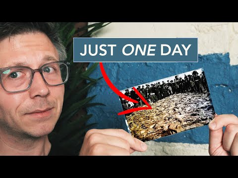 Why Americans clubbed millions of jackrabbits to death