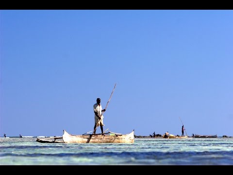 Blue Ventures Conservation - Skoll Award for Social Entrepreneurship 2015