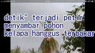 Download lagu Detik' petir menyambar pohon kelapa,, mp3