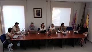 Ple 3 ordinari de data 29/07/2026