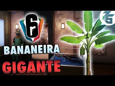A Bananeira GIGANTE