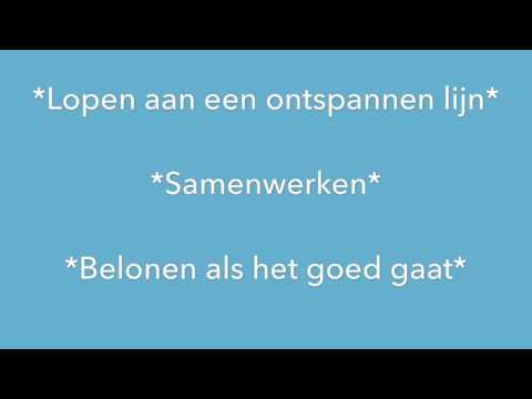 Gevorderde Cursus - Hondenschool Kersten