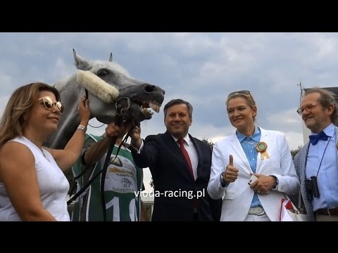 Gon. VIII (Sheikh Zayed Bin Sultan Al Nahyan) - 23.08.2015 - Ameretto (Amer DB - Win Taouy)