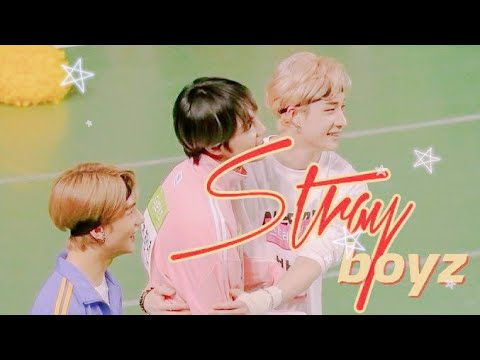 stray boyz (stray kids - the boyz) || moments pt1