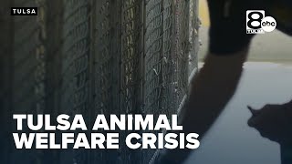 Tulsa Animal Welfare in crisis as shelter capacity reaches critical levels