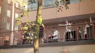 Kuningasidea - Valkoinen Lippu [Live @ Kallio Block Party 2014]