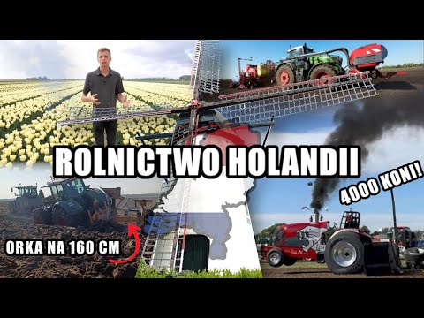 Cała prawda o rolnictwie Holandii! Jak Holendrzy z morza zrobili pola uprawne?