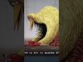 Biggest Bird The Herald