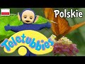 Teletubisie Po Polsku 61 DOBRA JAKOŚĆ Pełny Odcinek