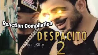 Despacito 2 (Parody Video) - Reaction Compilation