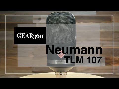 Neumann TLM 107 Microphone (Black) imagen 6
