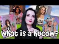 What S A HuCow Explaining The World Of Cow Roleplay BDSM