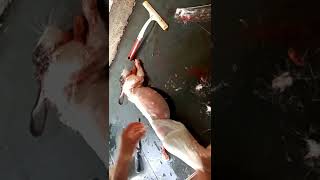 Amazing Rabbit Cutting Skills/By Indian street Butcherman/Indian rabbit meat market/#shorts