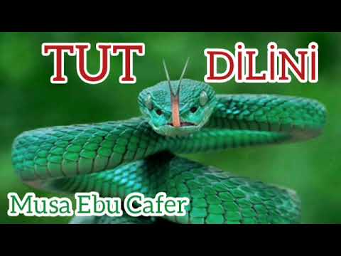 TUT DİLİNİ - MUSA EBU CAFER
