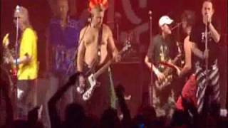 Visací zámek & Tři sestry Beatová síň slávy - Traktor