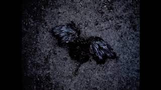 Baby Bird (The Wallflowers Cover) - Geoff Wilde