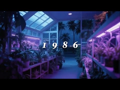 Liminal Space Atrium Second Level Promenade Mallsoft Vaporwave Radio  8 hours  Return to 1980s Dream