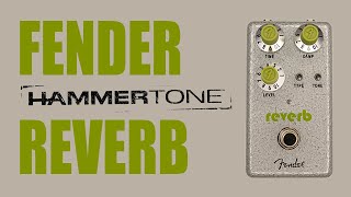 Video thumbnail for Fender - Hammertone Reverb - Demo (Budget Ambience!) by Ryan Lutton