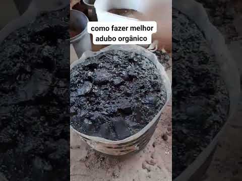 Como fazer um adubo orgânico com carvão #dicas #plants #plantas #rosadodeserto