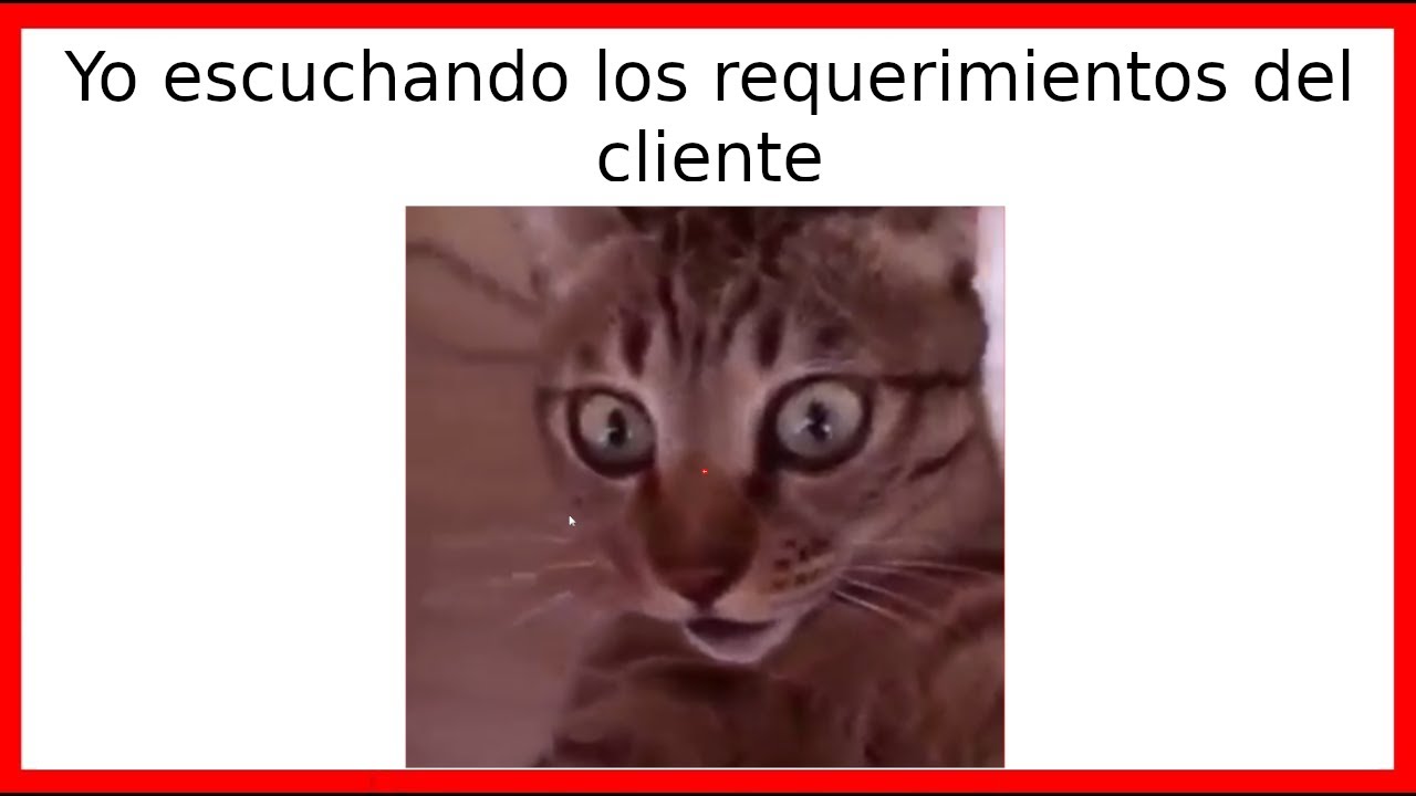 Yo escuchando los requerimientos del cliente (memes de programacion)