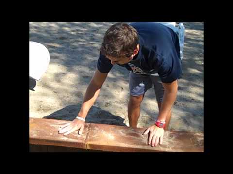 Olympic Tribute to the Fierce Five US Gymnastics Team