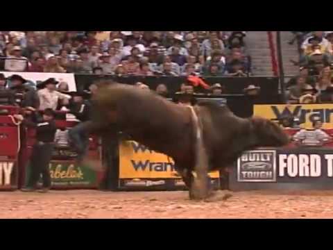Dr. Proctor bucks Brian Canter - 05 PBR Finals