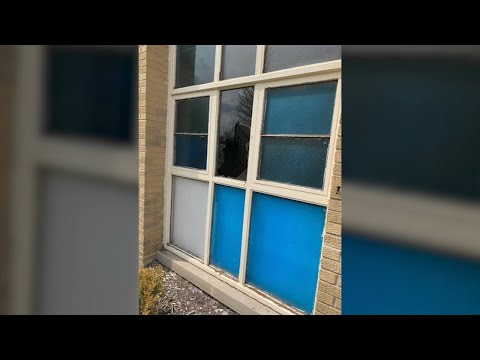 Police investigating Skokie synagogue vandalism as hate crime | ABC7 Chicago