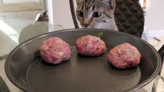 Pets Wanted Dead or Alive