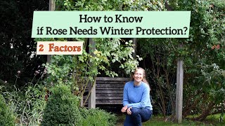 Winter Rose Protection, How to Know if Your Roses Need It