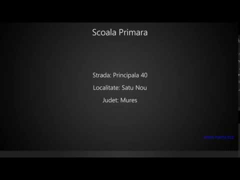 Scoala Primara Satu Nou