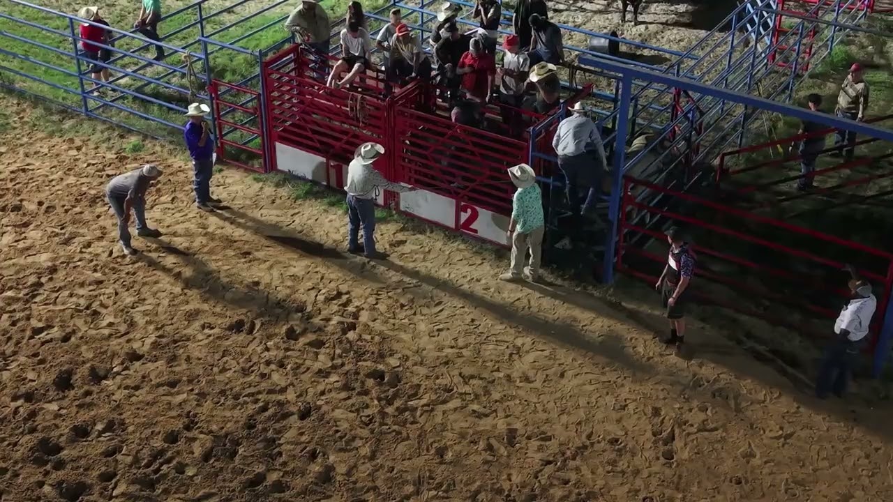 Bull Riding 5