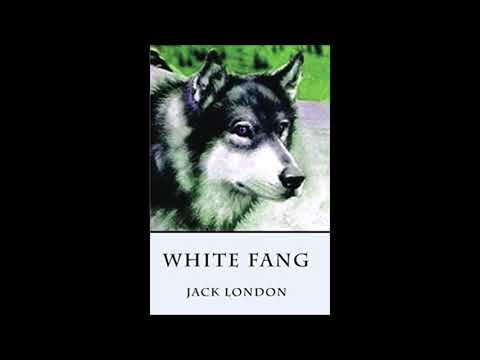 White Fang Chapter 20 by Jack London