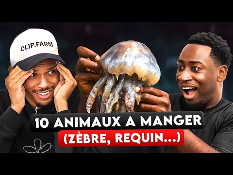 THE 10 WORST ANIMALS TO EAT (Ft Tonio Life / Le Motif / Danielowg)