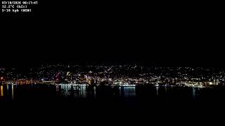 Dunedin Overview