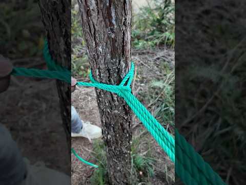 Great knot, Simple Rope Tension System  #usefulknot #knot #climbing