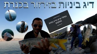 דיג זרזור. הכנרת לא מאכזבת והכוכב הראשי ניקל זהב בחמישה שקלים 😉