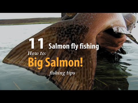 How to • Salmon fly fishing • Big Salmon! • fishing tips