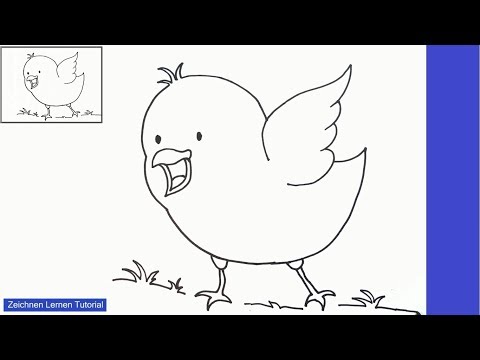 Huhn zeichnen lernen einfach schritt für schritt für anfänger 4  - Zeichnen lernen tutorial