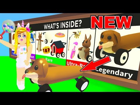 Meganplays Roblox Adopt Me Bee Update Roblox Codes For Robux 2019 Empty Stocking - roblox funnehcake adoptme