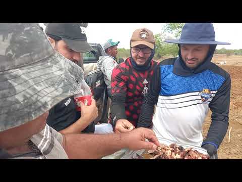 Betania do Piauí se destaca no plantio de palma forrageira @Josivam faz a diferença 